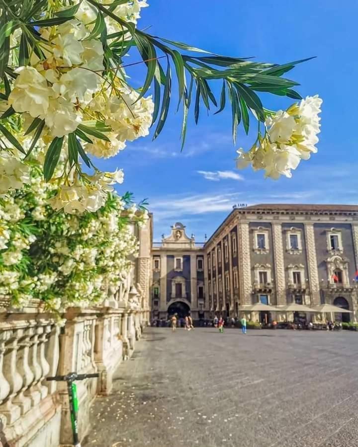 Appartamento A casuzza Aeroporto di Catania Fontana Rossa Esterno foto